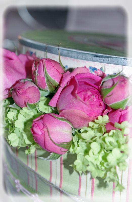 table_couleur_printemps_020_modifi__1