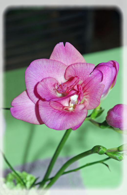 table_couleur_printemps_015_modifi__1