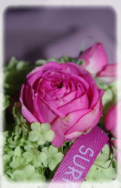 table_couleur_printemps_013_modifi__1