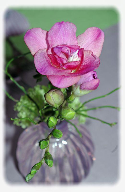 table_couleur_printemps_016_modifi__1