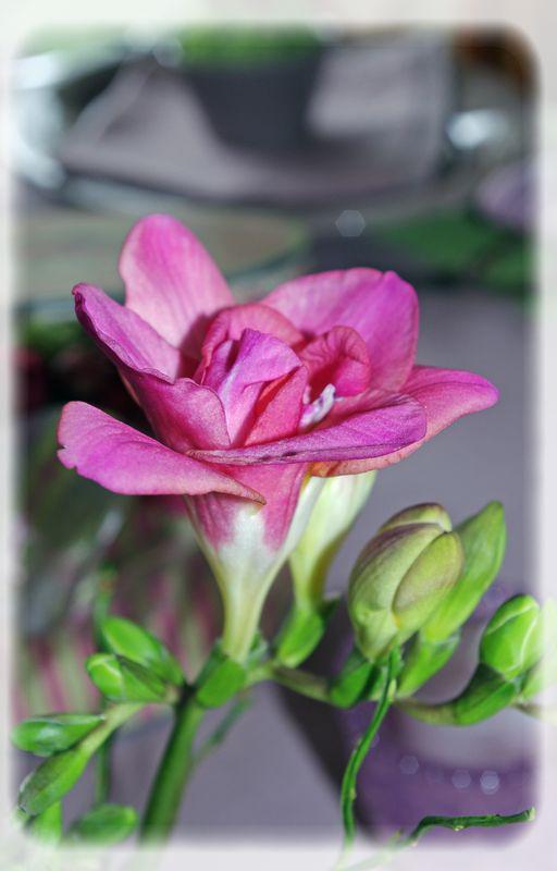 table_couleur_printemps_001_modifi__1