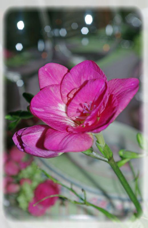 table_couleur_printemps_018_modifi__1