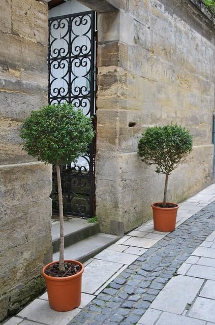 Image Hosted by ImageShack.us