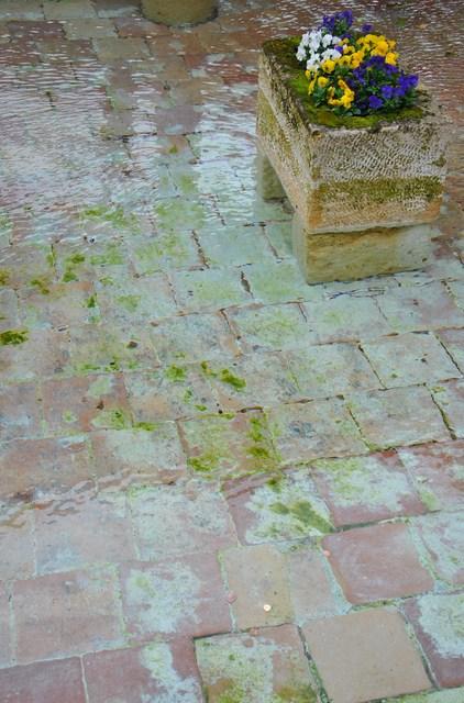 Image Hosted by ImageShack.us