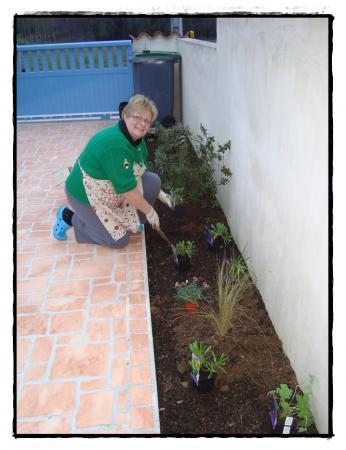 Nouvelles fleurs pour l'entrée de garage, mars 2011