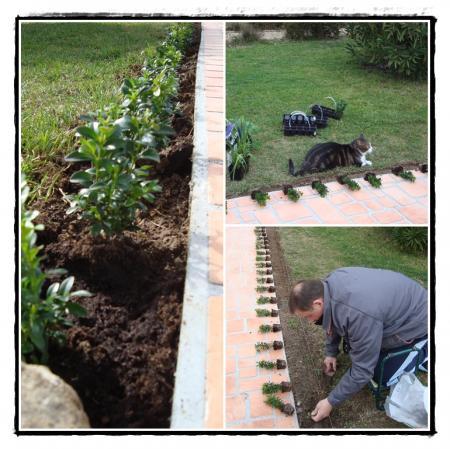 Nouvelles fleurs pour l'entrée de garage, mars 2011