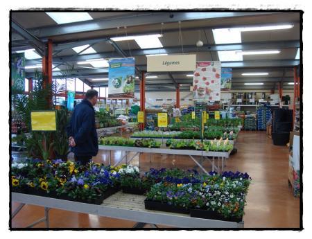 Nouvelles fleurs pour l'entrée de garage, mars 2011