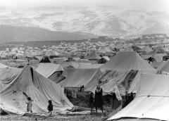 camps 1948.jpg