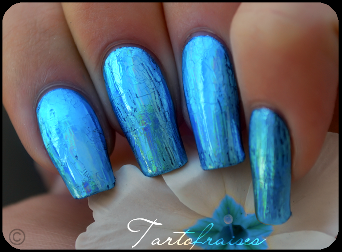 http://tartofraises.nailblogs.net/nailart/foil_violet/aquaAB/aquaAB_3.png