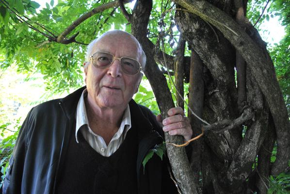 Un voyage à travers les arbres avec Francis Hallé (1)