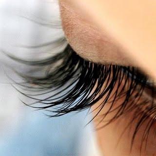 « Cils vous plait » !