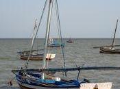 Trafic pousse-pieds Bretagne