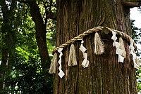 Un geste pour le peuple japonais