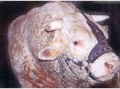 réactions chaud peuvent être bonnes conseillères