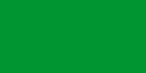 jamahiriya drapeau