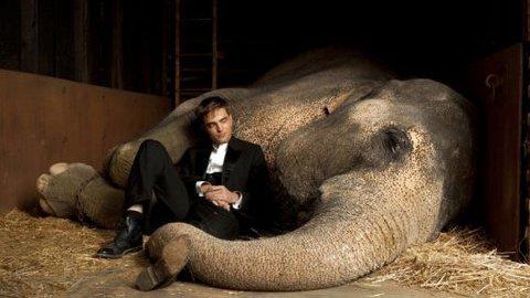 Robert Pattinson ... Bientôt sur MTV pour la promo de Water for Elephants (VIDEO)