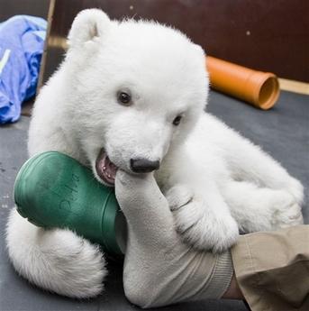 INTERNET : SERIOUS BUSINESS