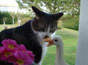 Bisous... Bisous....