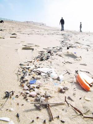 la plage à la fin de l'hiver ...