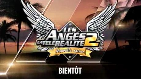 Les Anges de la télé-réalité 2 ... le choix des candidats sur NRJ 12.fr