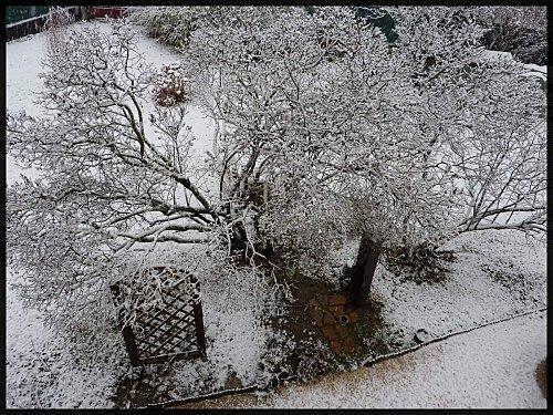 Première neige (Jean-François Roger)