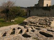L'Abbaye MONTMAJOUR (près d'Arles)