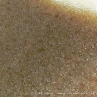 Macuisinecreole-sucre-de-canne