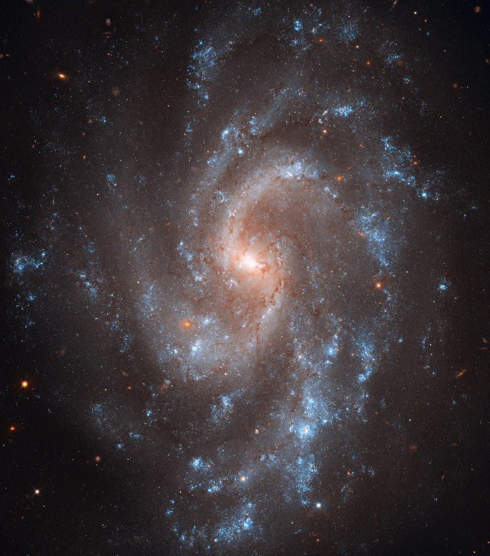 NGC 5584 photographiée par Hubble