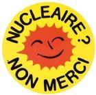 tchernobyl,three mile island,abstentionnisme,vote blanc,epr,nucléaire,comités antinucléaires,politique,engagement