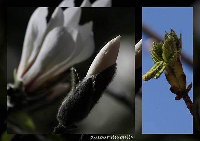 ODILE AVAIT LA SOLUTION