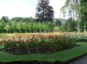 terrain extraordinaire