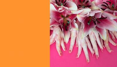 Découverte #668787980809 ou une nouvelle folie va naître