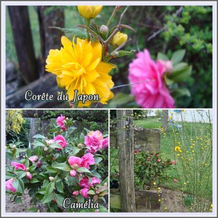 Les occupations du 17 mars 2011