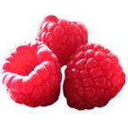 framboise_fruit