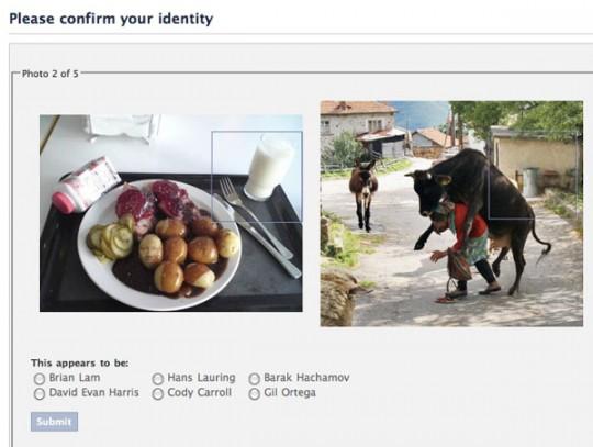 facebook test 540x407 Quelques soucis au sein des tests de vérification pour Facebook