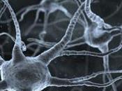 PARKINSON: thérapie génique parvient inverser symptômes maladie Lancet Neurology