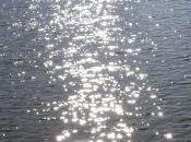 Inondation meurtrière France