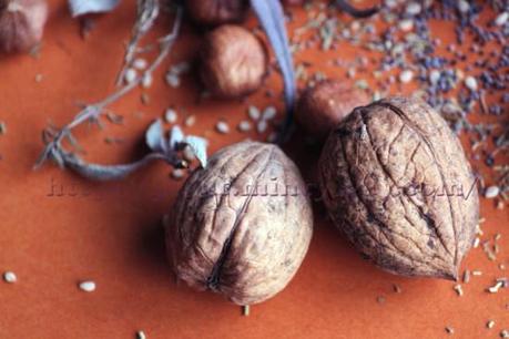 Noix Noisettes Herbes de Provence et Petites Graines