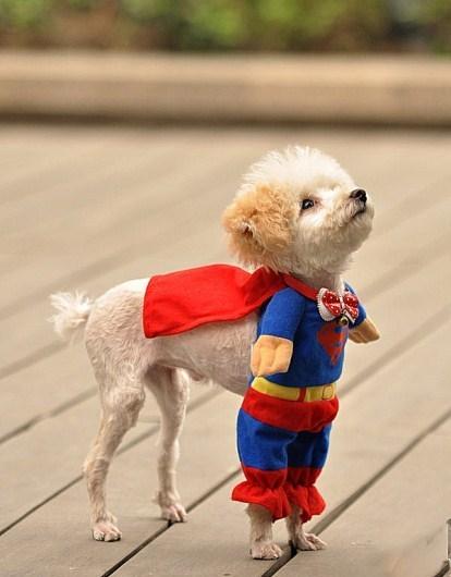 nunca-deixe-que-lhe-digam-que-voce-nao-e