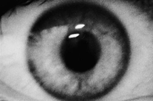 tumblr lhrbauZR6Q1qdbk04o1 500