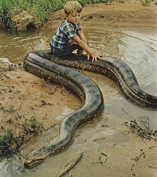 tumblr lhs5z7qPip1qdk2oko1 500