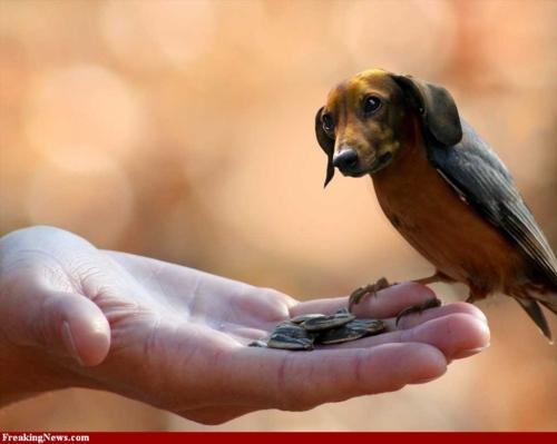 tumblr lhsfomcX2G1qbcpor