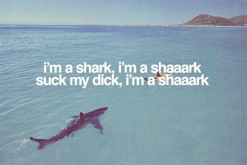 tumblr li2zq4RMi61qfjswko1 500