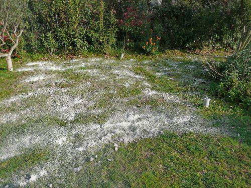 Démarrage de saison?... Journal du 18 mars 2011