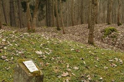 Fleury-devant-Douaumont (55)