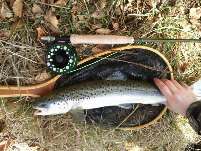 WINNER’S TROUT/TRUITE DE GAGNANT