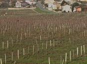 Visite Château Beauséjour Montagne (fin)