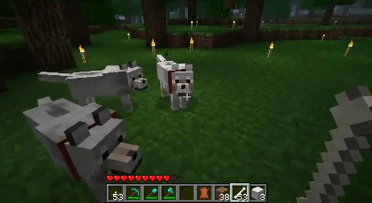 Minecraft : Des loups… De compagnie !