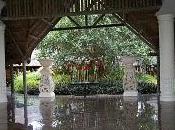 Dépolluez intérieurs