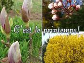 C'est printemps, mars 2011